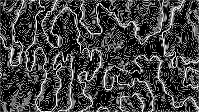 Topographic map pattern background vector. Abstract mountain terrain map background. 