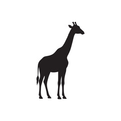 Fototapeta premium giraffe silhouette vector illustration