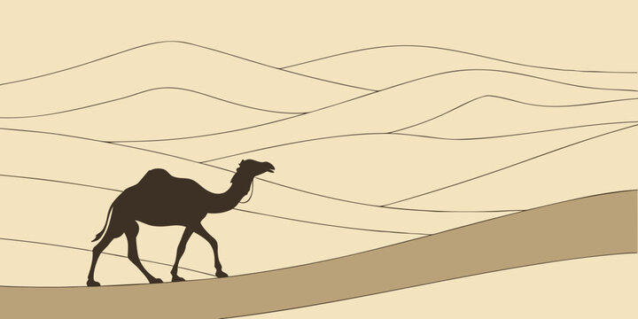 Silhouette of a single camel journeying across expansive rolling sand dunes in a vast arid desert landscape with silhouette dromedary landscape wilderness illustration background adventure
