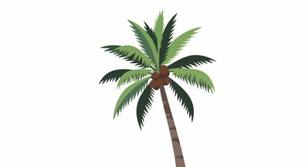 Fototapeta premium A tall palm tree with green leaves and brown trunk and fruit