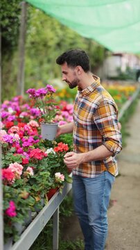Adult man choose dimorfoteca of different colors in a garden hypermarket. High quality 4k footage