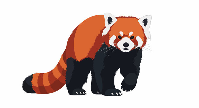 A vibrant illustration of a red panda with orange and black fur
