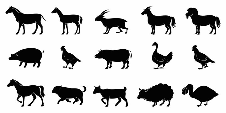 Collection of various farm animal silhouettes with silhouette livestock agriculture collection graphics isolated domestic creatures wildlife barnyard creature herbivores