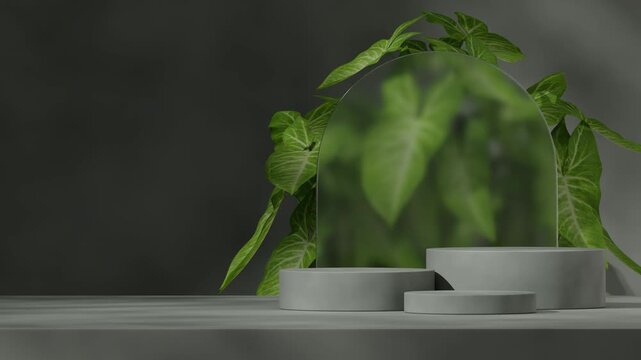 rendering 3d footage blank mockup of dark green cylinder podium looping seamless shadow animation with green leaf plant background