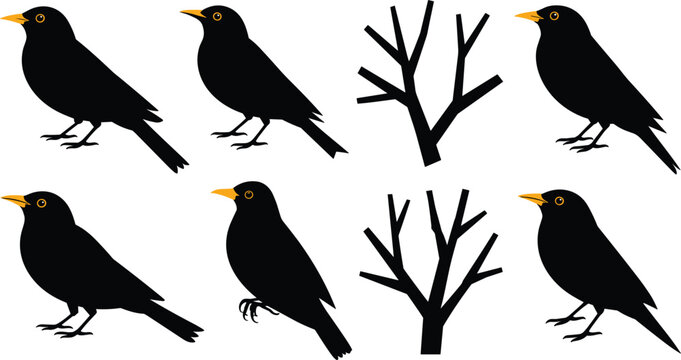 Blackbird silhouette vector set with common black birds, bare winter tree branches isolated on white