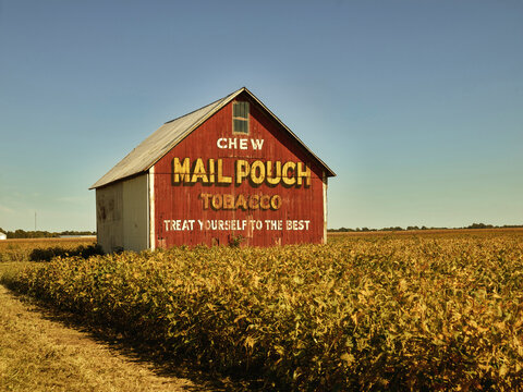 FLORA, IN - FEB 22, 1999: Mail Pouch tobacco painted advertising barn