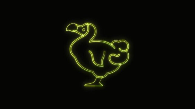  Dodo Animal Icon Neon Seamless Loop 4K with Black Background Animated Promotional Typography for Video Editing