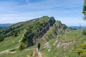 Obraz premium Hiking between Hochgrat Ridge and Rindalphorn - Scenic Alpine Landscape in Nagelfluhkette Bavaria