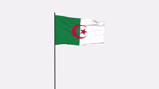 Algeria Flag Animation 4K Transparent Background with Alpha Channel