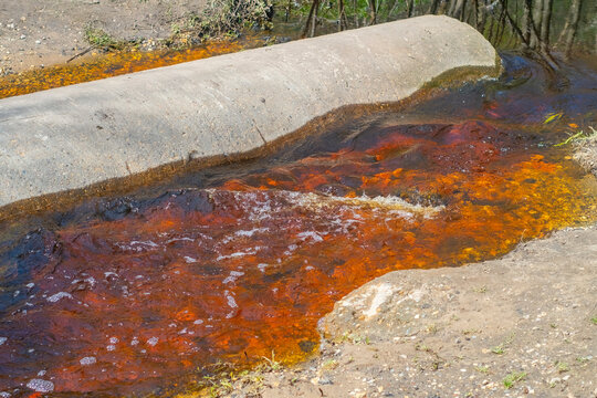 An iron-tainted, red stream. A natural disaster in the wilderness.