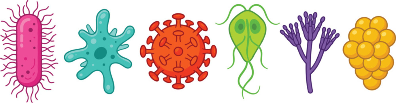 Microscopic Microorganism Vector Icon Set Featuring Colorful Bacteria Virus Amoeba Fungus Parasite and Microbe Cells for Science and Medical Infographic Designs