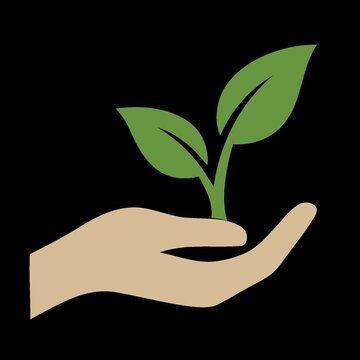 Eco friendly symbol, green sprout, hand holding plant, sustainability icon, environmental growth
