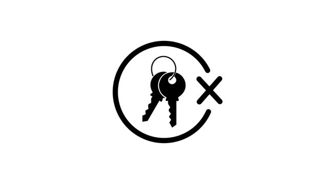 Keys approved: secure access granted with crossmark animation