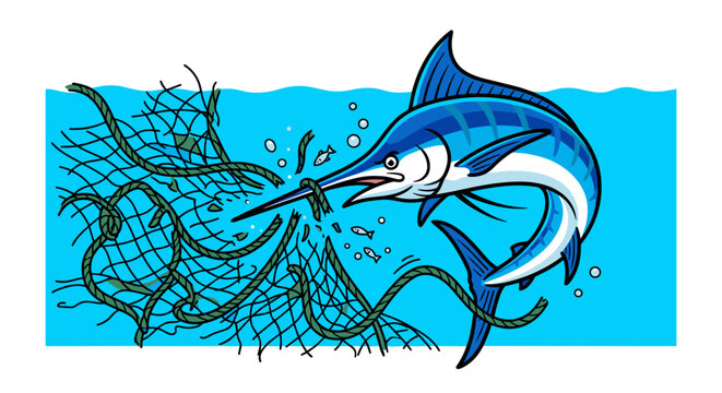 Blue marlin breaking through a commercial fishing net underwater