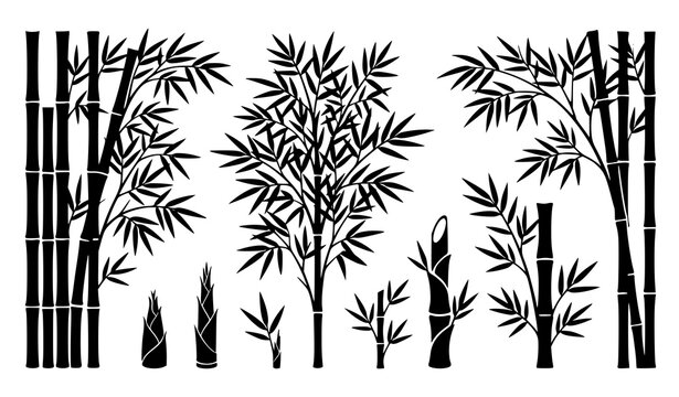 Bamboo Forest Silhouette Collection Featuring Stalks Leaves and Oriental Nature Elements