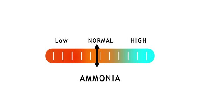 Eh scale diagram, Eh scale graphic, Acid to base, pH scale Info-graphic acid-base balance, Indicator diagram acidic alkaline measure isolated on white background illustration, Universal pH indicator