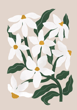 Minimalist Anemones Illustration