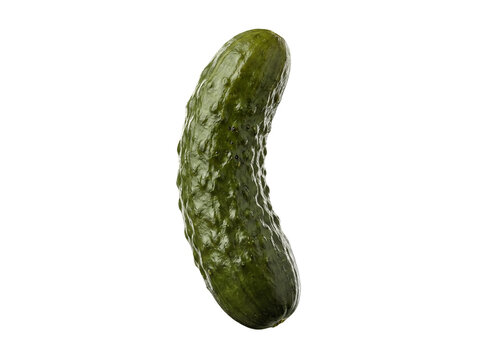 Fresh, organic green cucumber, featuring its natural texture, ready to be used in salads or healthy meals.