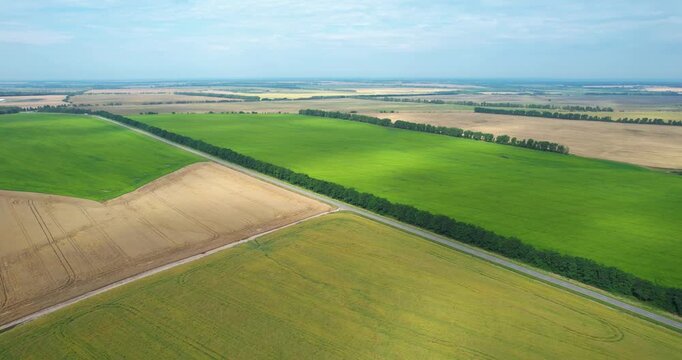 Aerial forward flying shot over a beautiful patchwork of green and brown agricultural fields under cloud shadows