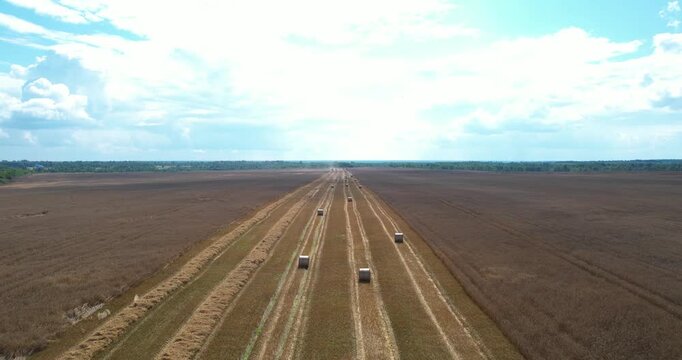 Aerial wide establishing shot over a massive harvested wheat field with straight rows of round straw hay bales under a blue summer sky