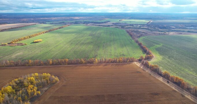 Aerial forward flying wide shot of a beautiful patchwork landscape with green and brown agricultural fields divided by autumn tree lines
