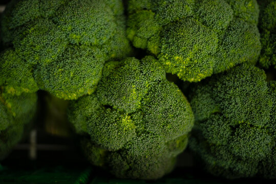 Fresh green broccoli florets closeup showing healthy texture