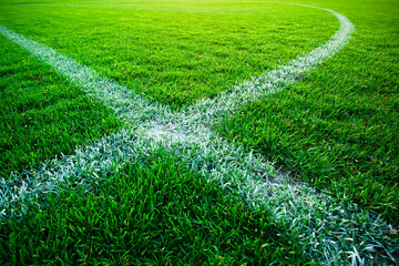 Naklejka premium High angle view of a white line on a green grass sports field