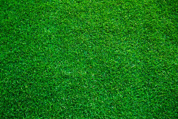 Naklejka premium High angle view of a lush green grass turf background