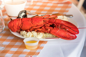 Plated whole cooked lobster meal served with potato salad and melted