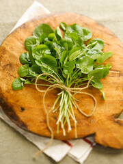 Naklejka premium High angle view of a fresh bundle of green watercress tied with twine