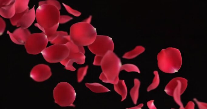Red blood cells in motion floating.