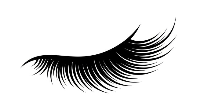False eyelashes isolated on white background.