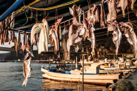 &nbsp;Scenery of a fishing village in the East Sea