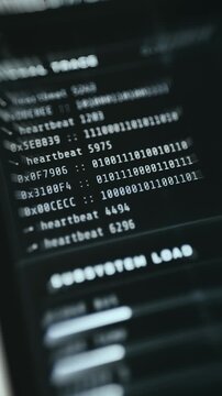 Terminal log displaying binary data and hexadecimal addresses, suggesting low-level system diagnostic
