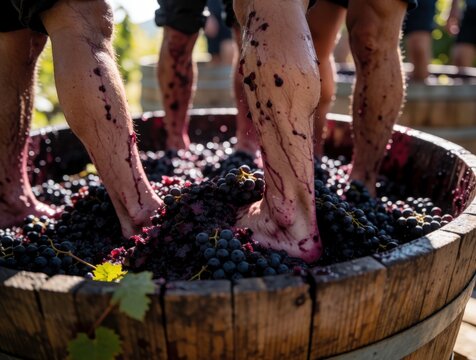People stomping grapes in a wooden barrel during traditional winemaking process outdoors