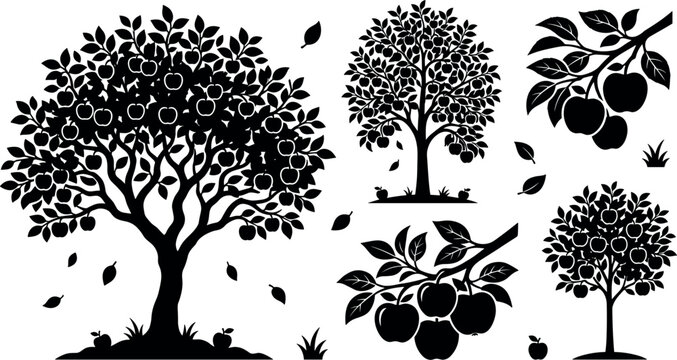 Apple tree silhouette vector illustration set with fruit trees hanging apple branches leaves and fallen harvest elements isolated on white background
