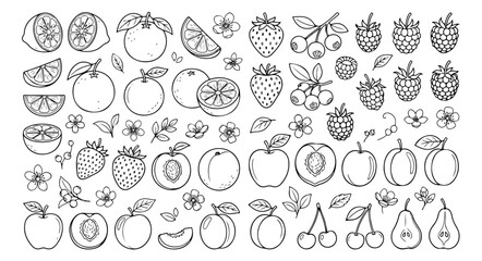 Hand drawn fruit line art collection, organic berry and citrus sketches, minimalist black and white fruit icons for coloring and menu design © Asma