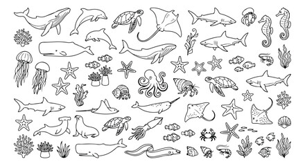 Hand drawn sea creatures vector set, black and white marine life illustrations, ocean animal doodles and underwater wildlife icons © Asma