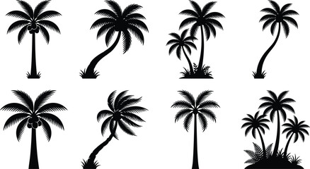 Fototapeta premium Coconut Palm Tree Silhouette Collection with Tropical Island Landscape Elements