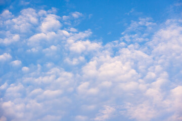 Obraz premium A tranquil blue sky filled with fluffy cumulus clouds creating a soft, airy texture and peaceful atmosphere ideal as a calming background or design element evoking freedom and open space