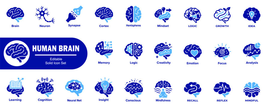Human brain science and healthcare icons. Representing neurology, cognition, and medical concepts as a vector illustrator.