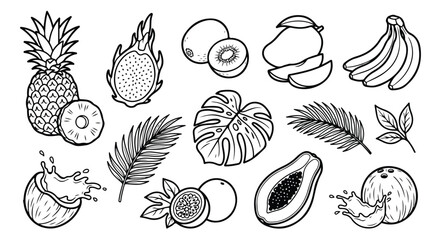 Fototapeta premium Tropical fruit line art collection, hand drawn exotic fruits and palm leaves vector set, black and white botanical illustrations for coloring or menu design