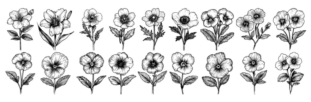 Garden flowers and botanical blossoms collection in vintage engraving style