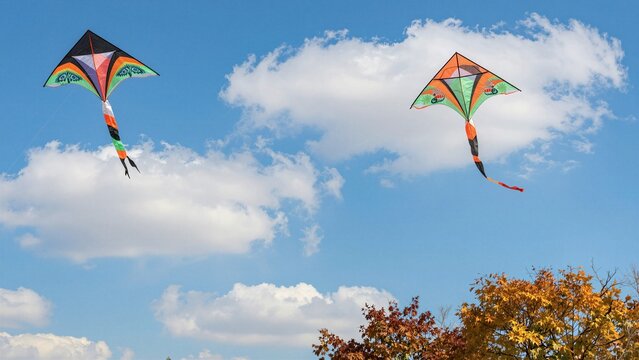 Two vibrant paper kites fly high in a blue sky with white clouds above autumn trees.