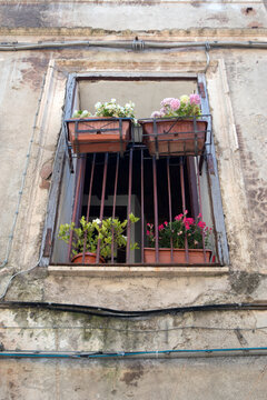 Finestra antica con grate e cassette di legno colme di fiori colorati, incorniciata da un muro vissuto e scrostato che crea un contrasto suggestivo tra architettura decadente e vitalit&agrave; naturale