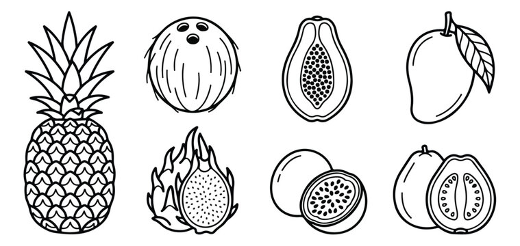 Tropical fruit line icons set, black and white exotic food illustrations, 8 vector elements featuring pineapple, coconut, mango and dragon fruit