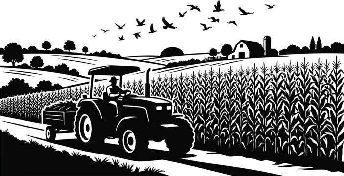 Farmer driving tractor with trailer through cornfield during harvest with birds flying above rural landscape vector illustration