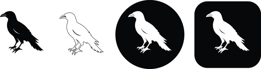 Obraz premium Set of four raven or crow bird in profile, presented in solid, outline, and framed circular or square variations