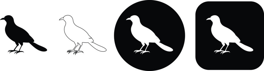Fototapeta premium Four depicting a bird with a long tail in side profile, shown in solid black, outline, circle, and square formats