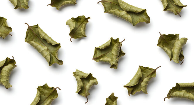 Dried Herb Leaves Pattern